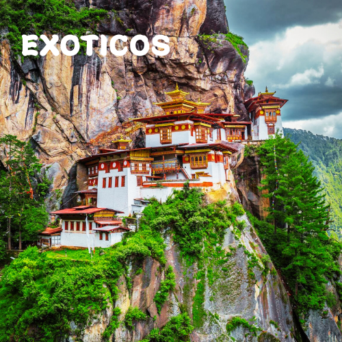 Exoticos