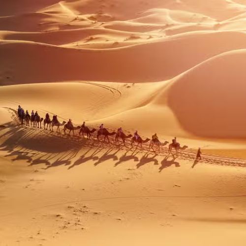 GRAN TOUR DESDE CASABLANCA - SILVER